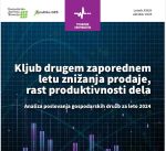 Poslovanje gospodarstva v letu 2024: Kljub drugem zaporednem letu znižanja prodaje, rast produktivnosti dela